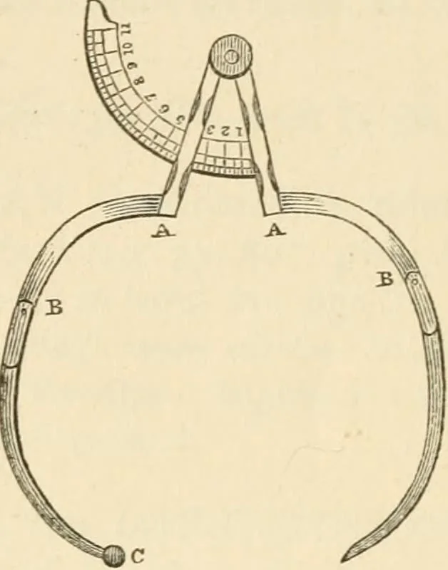 An illustration from Elements of phrenology, 1850, leaf 231
