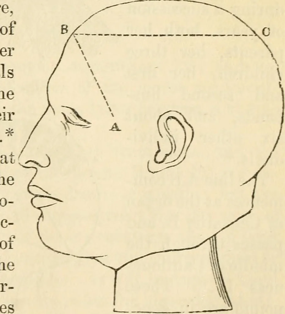 An illustration from Elements of phrenology, 1850, leaf 43