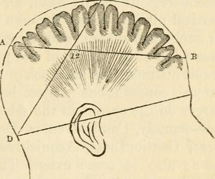 An illustration from Elements of phrenology, 1850, leaf 45