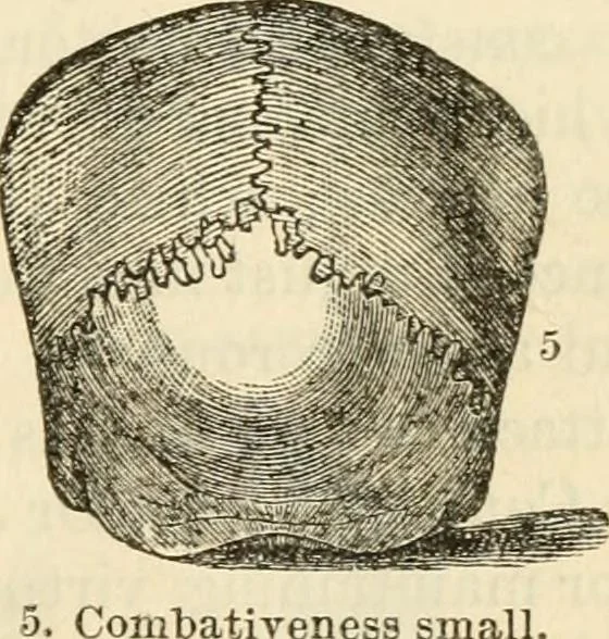 An illustration from Elements of phrenology, 1850, leaf 85