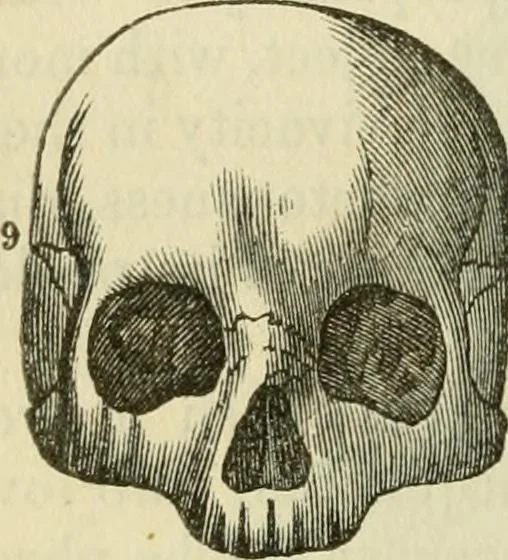 An illustration from Elements of phrenology, 1850, leaf 96