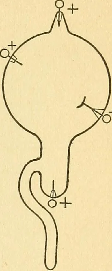 An illustration from Elements of physics, 1903, leaf 266