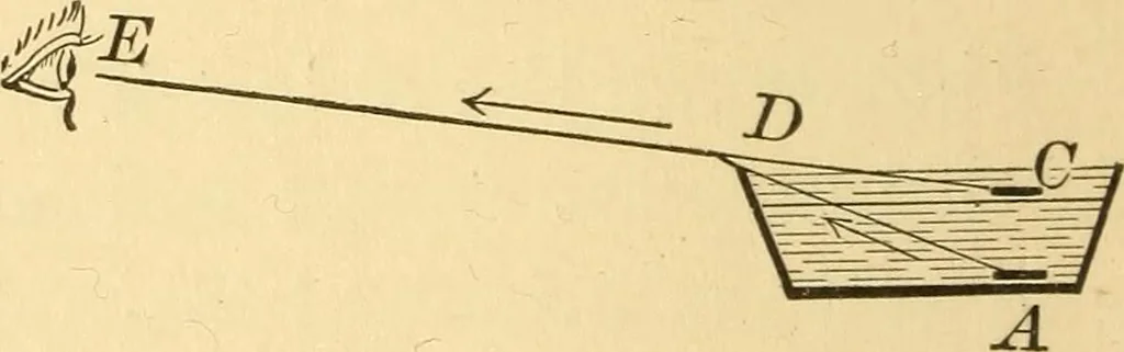 An illustration from Elements of physics, experimental and descriptive, 1902, leaf 103