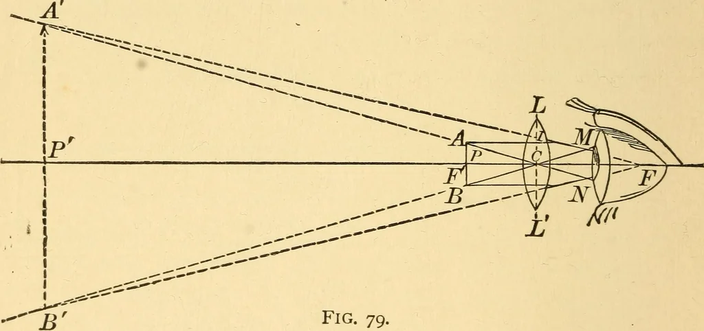 An illustration from Elements of physics, experimental and descriptive, 1902, leaf 113