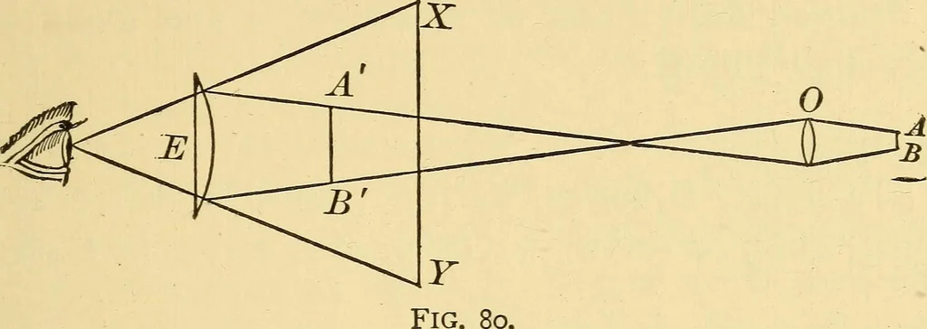 An illustration from Elements of physics, experimental and descriptive, 1902, leaf 114