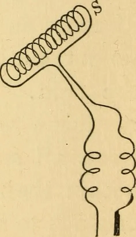 An illustration from Elements of physics, experimental and descriptive, 1902, leaf 143