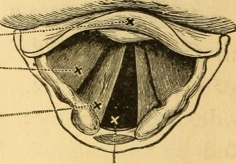 An illustration from Elements of physics, experimental and descriptive, 1902, leaf 185
