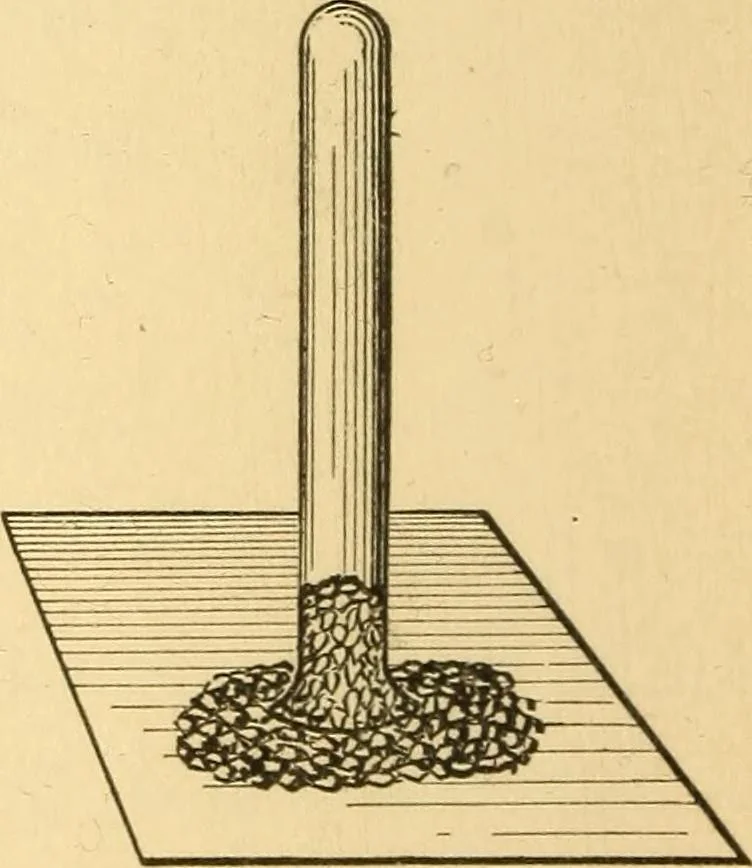 An illustration from Elements of physics, experimental and descriptive, 1902, leaf 51