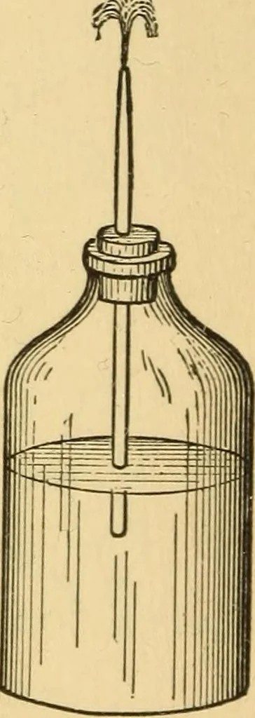 An illustration from Elements of physics, experimental and descriptive, 1902, leaf 53