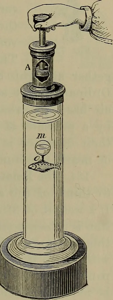 An illustration from Elements of physics, 1900, leaf 140