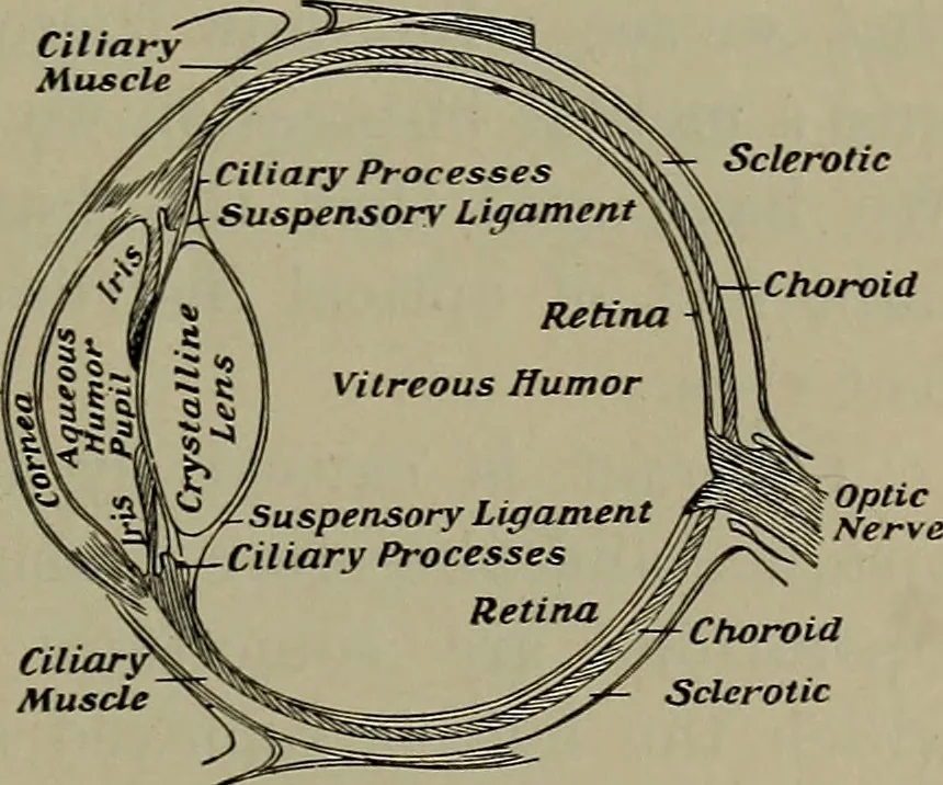 An illustration from Elements of physics, 1900, leaf 354