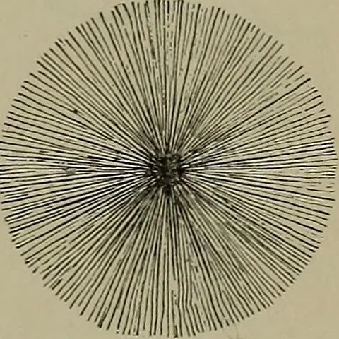 An illustration from Elements of physics, 1900, leaf 366