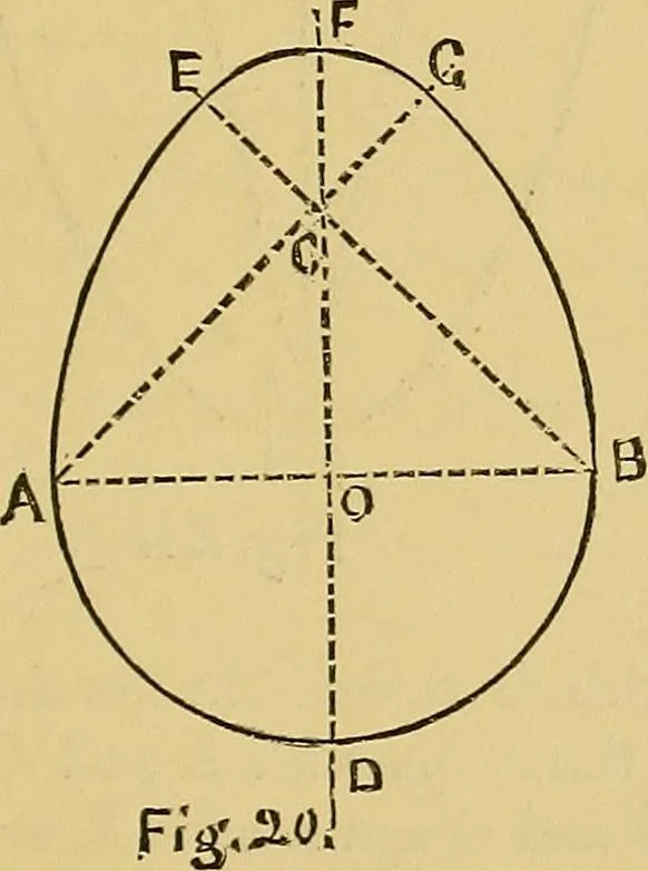 An illustration from Elements of plane and solid free-hand geometrical drawing, with lettering; and some elements of geometrical ornamental design, including the principals of harmonic angular ratios, etc. In three parts ... for draughtsmen and artisans; and teachers and students of industrial and mechanical drawing, 1878, leaf 147