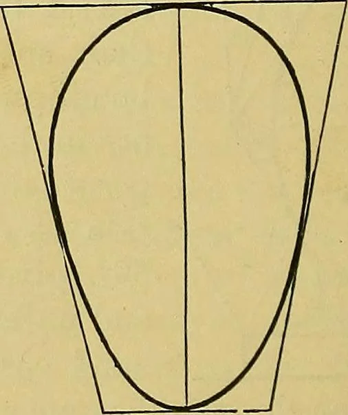 An illustration from Elements of plane and solid free-hand geometrical drawing, with lettering; and some elements of geometrical ornamental design, including the principals of harmonic angular ratios, etc. In three parts ... for draughtsmen and artisans; and teachers and students of industrial and mechanical drawing, 1878, leaf 58