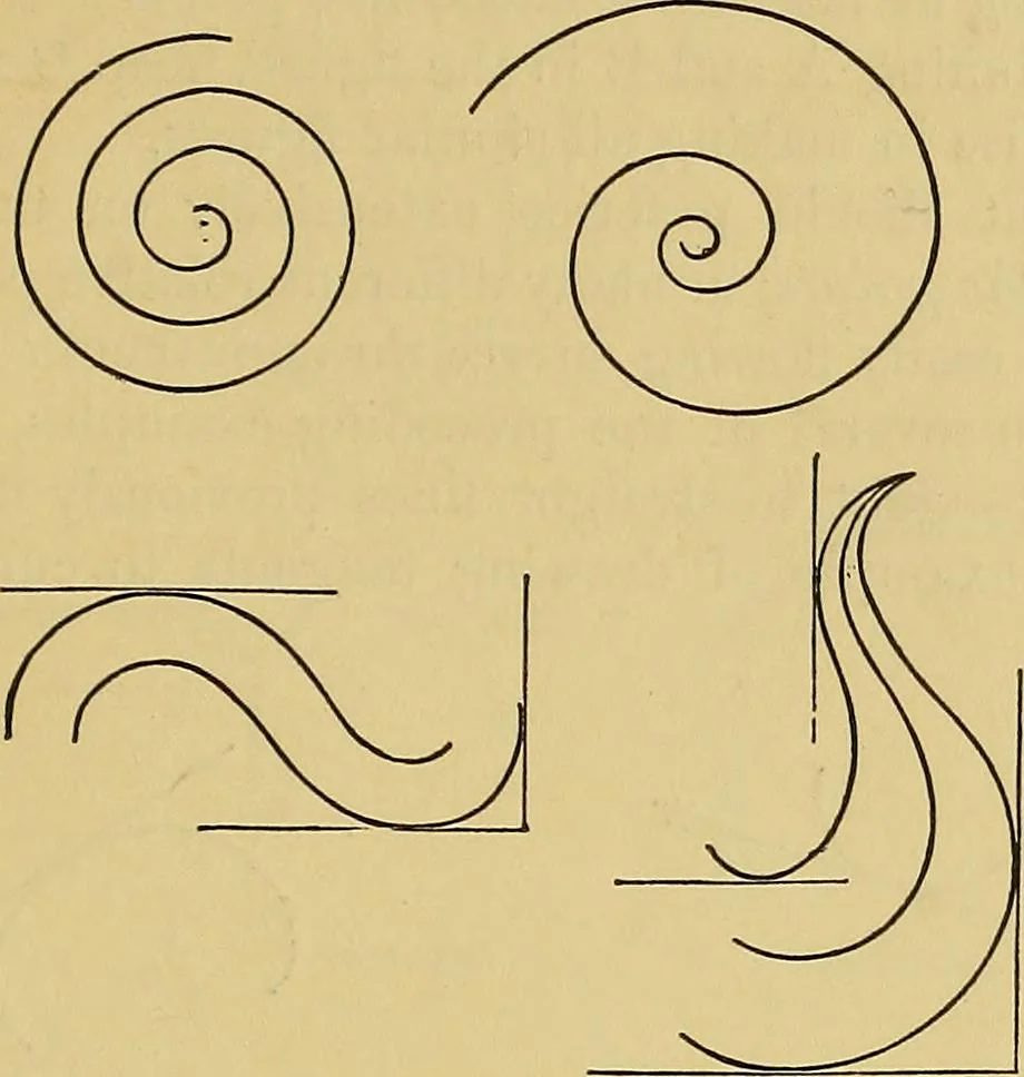 An illustration from Elements of plane and solid free-hand geometrical drawing, with lettering; and some elements of geometrical ornamental design, including the principals of harmonic angular ratios, etc. In three parts ... for draughtsmen and artisans; and teachers and students of industrial and mechanical drawing, 1878, leaf 61