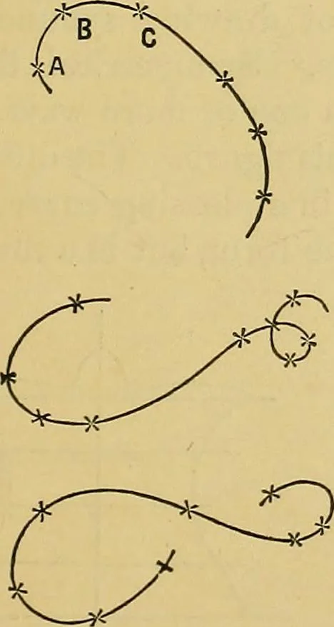 An illustration from Elements of plane and solid free-hand geometrical drawing, with lettering; and some elements of geometrical ornamental design, including the principals of harmonic angular ratios, etc. In three parts ... for draughtsmen and artisans; and teachers and students of industrial and mechanical drawing, 1878, leaf 61