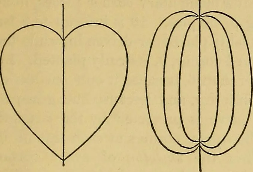 An illustration from Elements of plane and solid free-hand geometrical drawing, with lettering; and some elements of geometrical ornamental design, including the principals of harmonic angular ratios, etc. In three parts ... for draughtsmen and artisans; and teachers and students of industrial and mechanical drawing, 1878, leaf 63