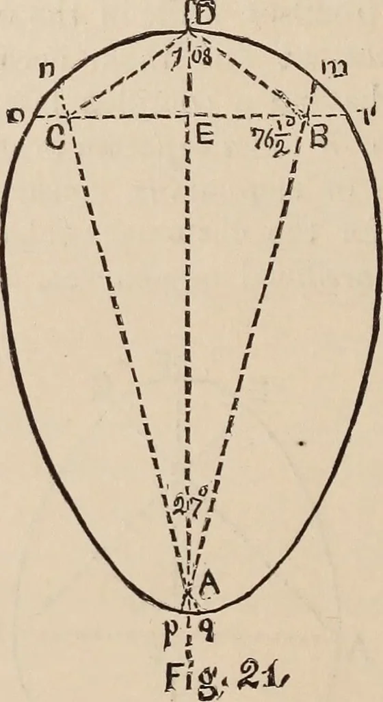 An illustration from Elements of plane and solid free-hand geometrical drawing, with lettering; and some elements of geometrical ornamental design, including the principals of harmonic angular ratios, etc. In three parts ... for draughtsmen and artisans; and teachers and students of industrial and mechanical drawing, 1878, leaf 170