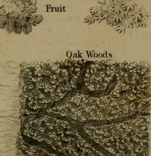 An illustration from Elements of surveying and navigation : with a description of the instruments and the necessary tables, 1847, leaf 374