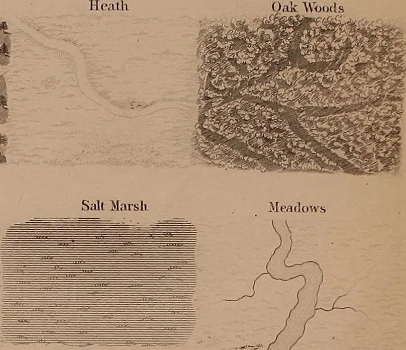 An illustration from Elements of surveying and levelling; with descriptions of the instruments and the necessary tables, 1870, leaf 454