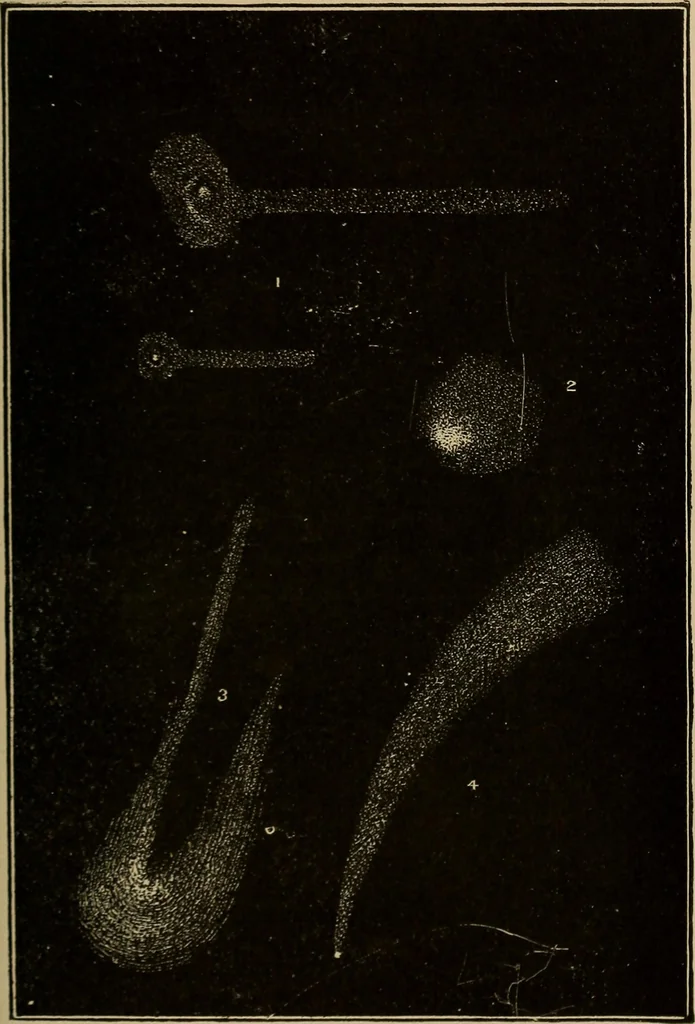 An illustration from The elements of theoretical and descriptive astronomy, for the use of colleges and academies, 1901, leaf 282