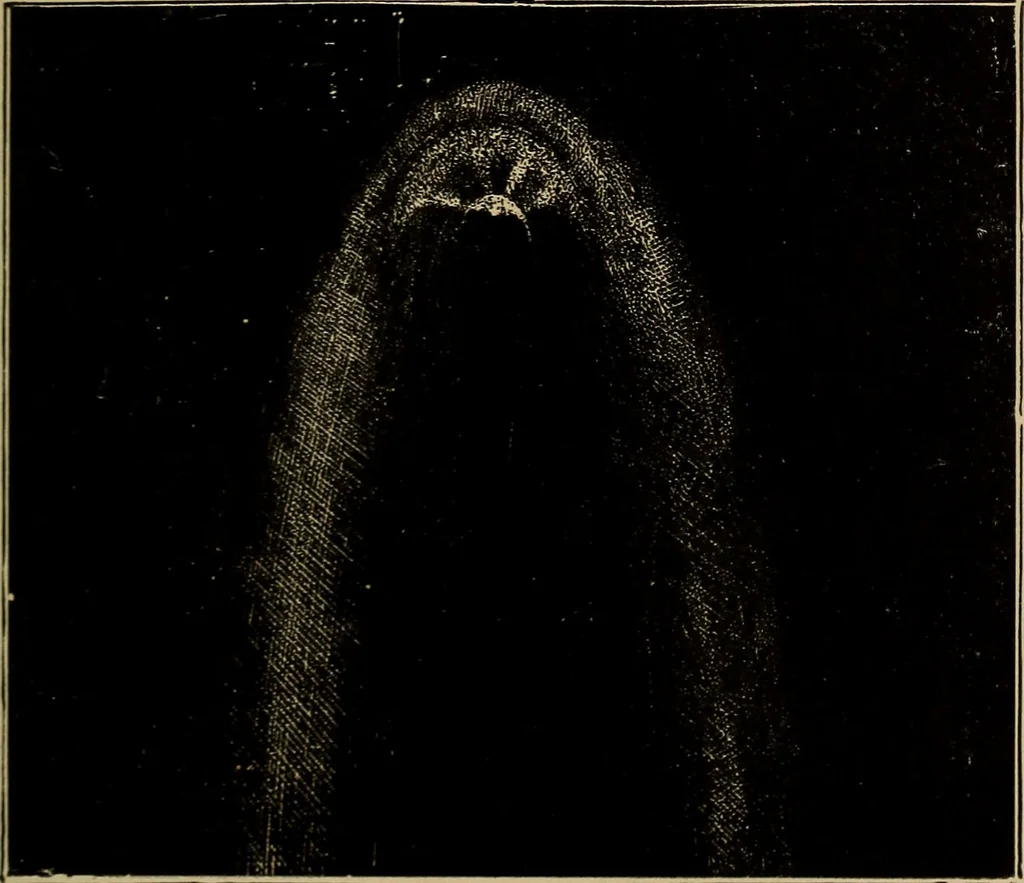 An illustration from The elements of theoretical and descriptive astronomy, for the use of colleges and academies, 1901, leaf 284