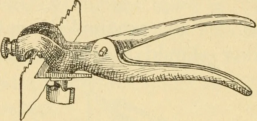 An illustration from ...Elements of woodwork, 1911, leaf 125
