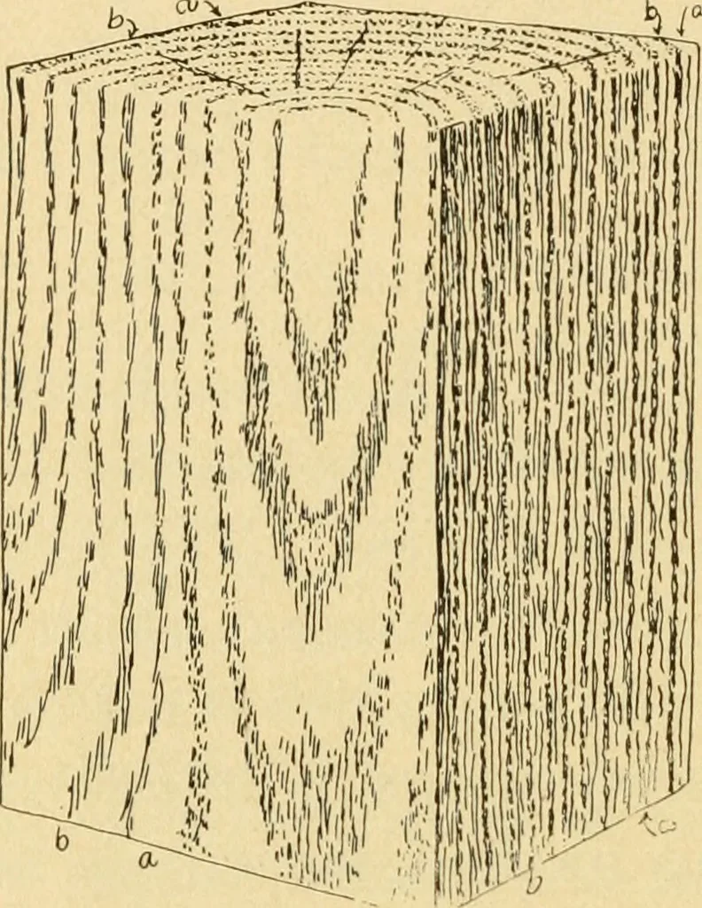 An illustration from ...Elements of woodwork, 1911, leaf 17