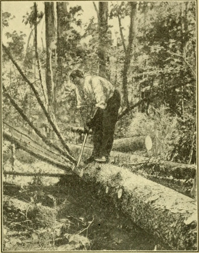 An illustration from ...Elements of woodwork, 1911, leaf 28