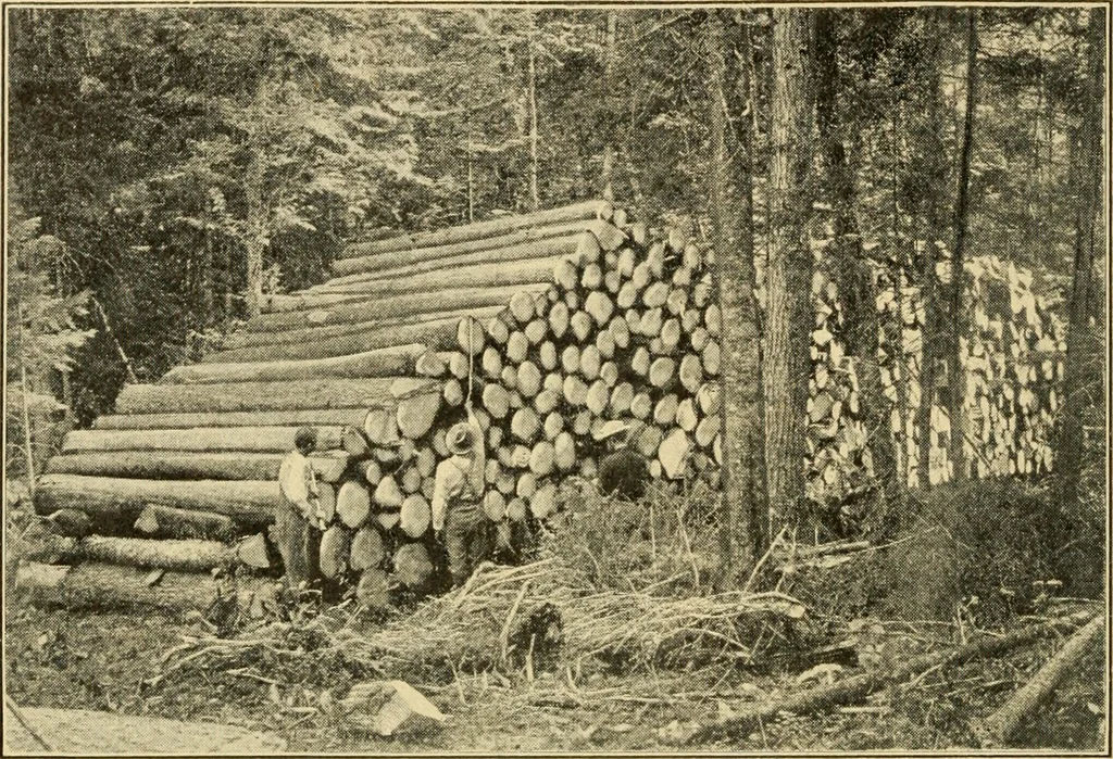 An illustration from ...Elements of woodwork, 1911, leaf 29