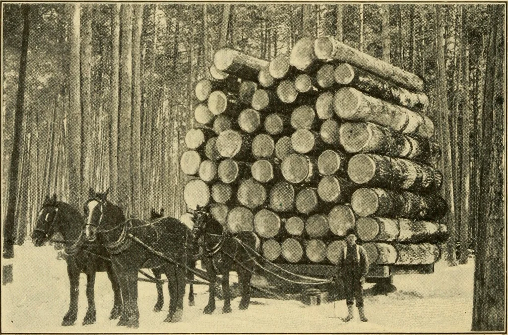 An illustration from ...Elements of woodwork, 1911, leaf 29