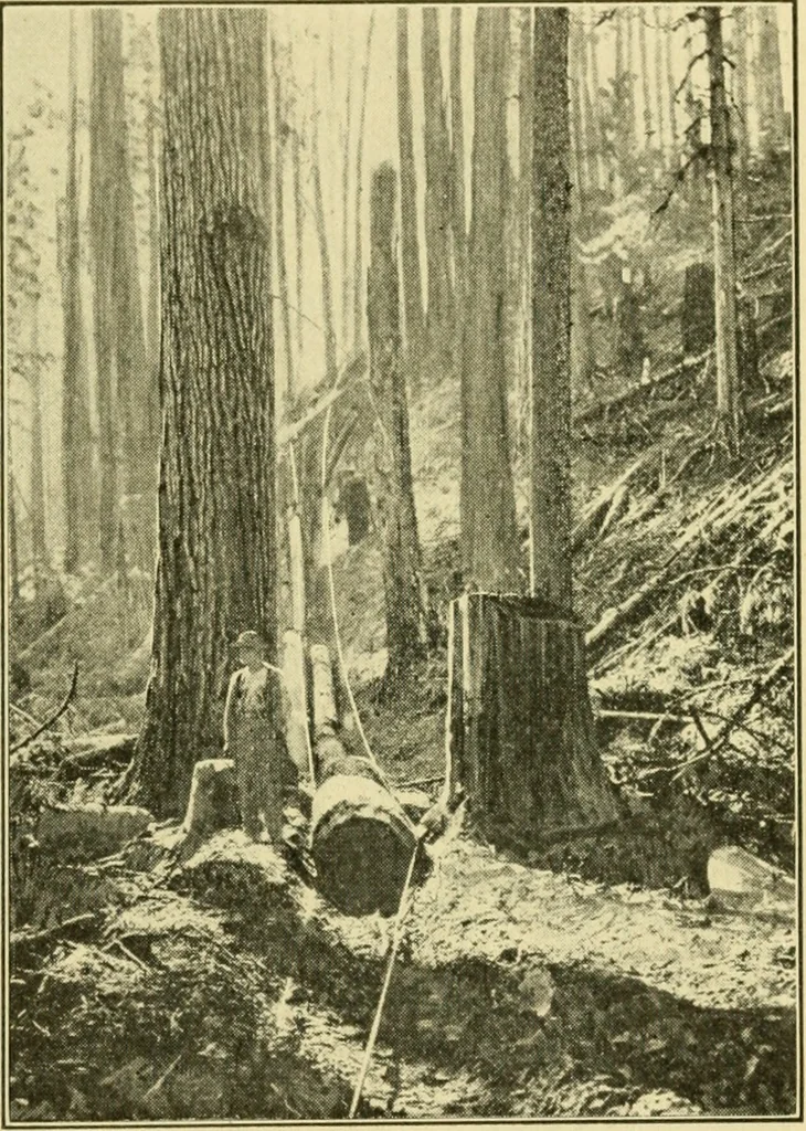 An illustration from ...Elements of woodwork, 1911, leaf 30