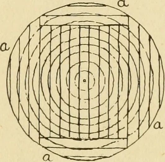 An illustration from ...Elements of woodwork, 1911, leaf 37
