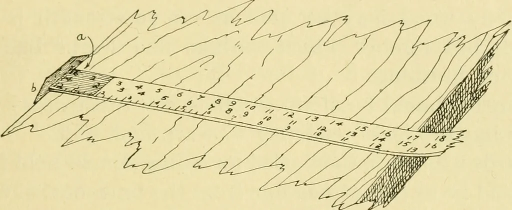 An illustration from ...Elements of woodwork, 1911, leaf 42
