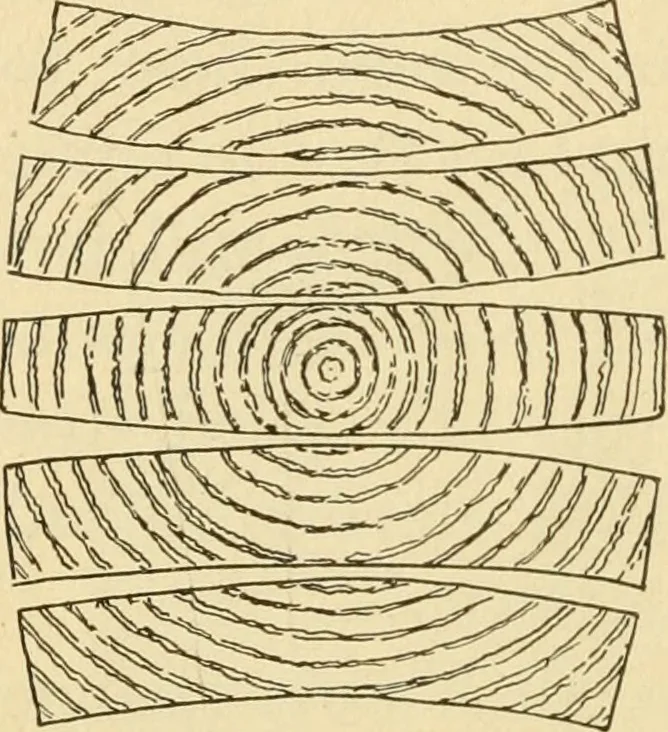 An illustration from ...Elements of woodwork, 1911, leaf 63