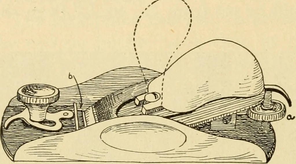 An illustration from ...Elements of woodwork, 1911, leaf 99