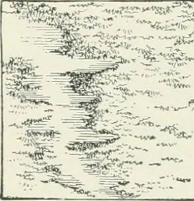 An illustration from The elements of railroad engineering, 1897, leaf 201