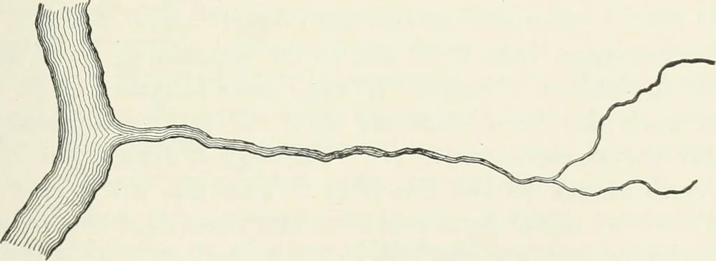 An illustration from The elements of railroad engineering, 1897, leaf 202