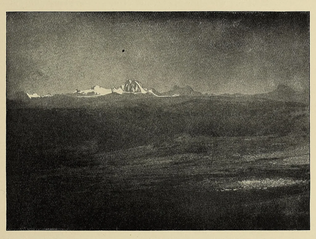 An illustration from Elephant-hunting in East Equatorial Africa : being an account of three years' ivory-hunting under Mount Kenia and among the Ndorobo savages of the Lorogi Mountains, including a trip to the north of Lake Rudolph, 1898, leaf 159