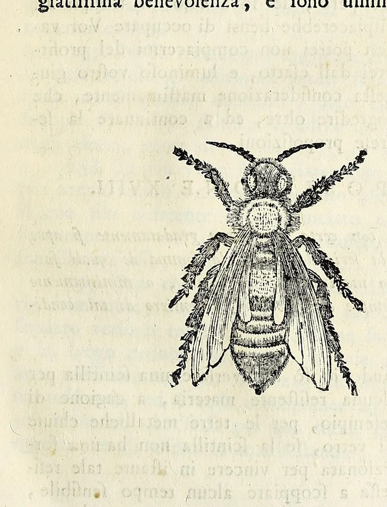 An illustration from Elettricismo atmosferico lettere, 1758, leaf 253