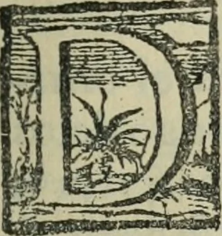 An illustration from El ingenioso hidalgo Don Quixote de la Mancha, 1608, leaf 12