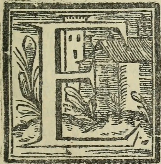 An illustration from El ingenioso hidalgo Don Quixote de la Mancha, 1608, leaf 28