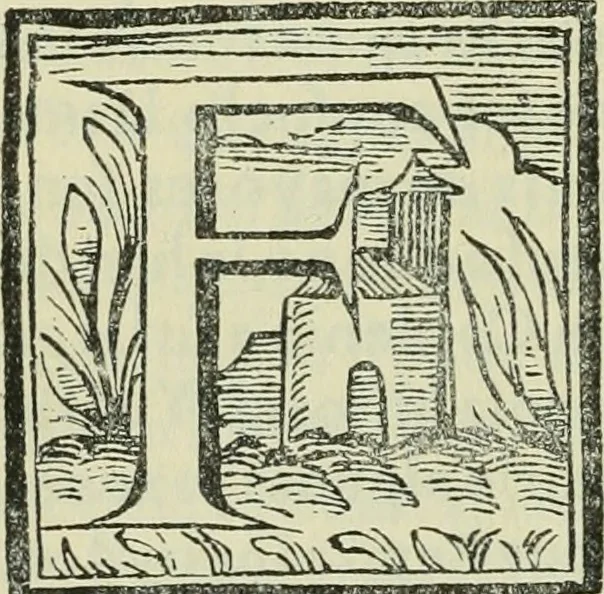 An illustration from El ingenioso hidalgo Don Quixote de la Mancha, 1608, leaf 287