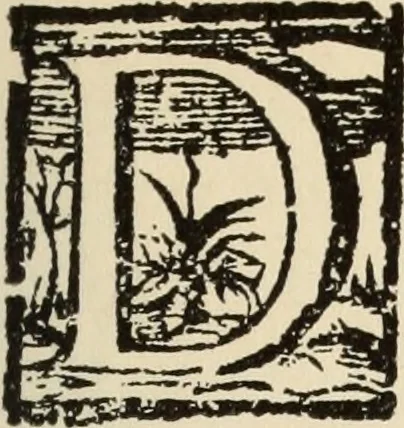 An illustration from El ingenioso hidalgo Don Quixote de la Mancha, 1605, leaf 12