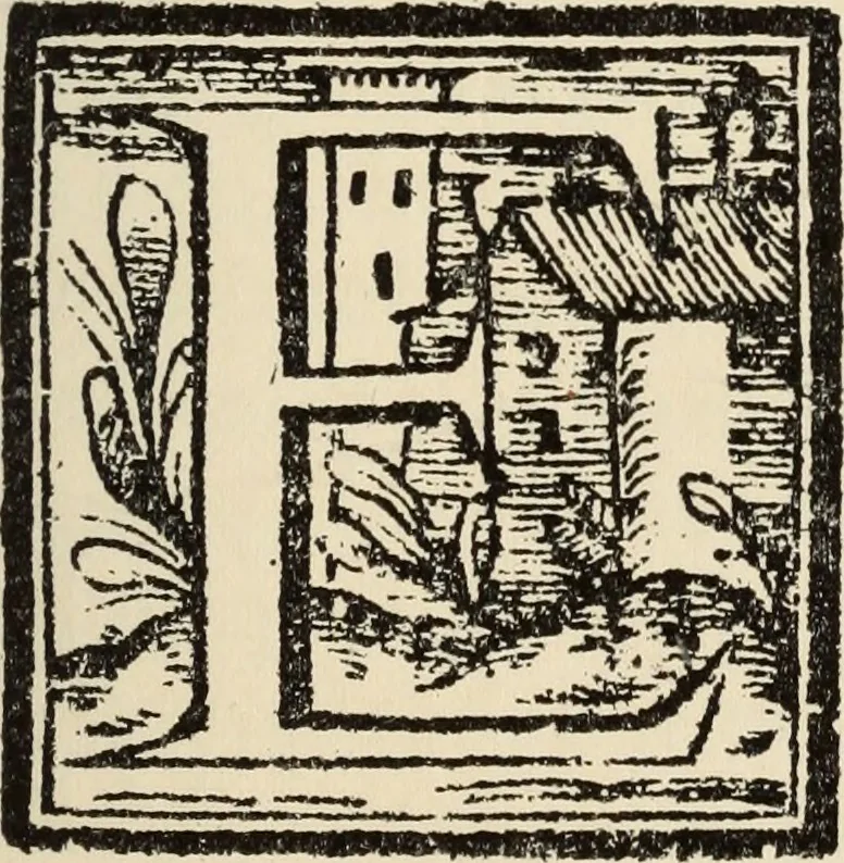 An illustration from El ingenioso hidalgo Don Quixote de la Mancha, 1605, leaf 28