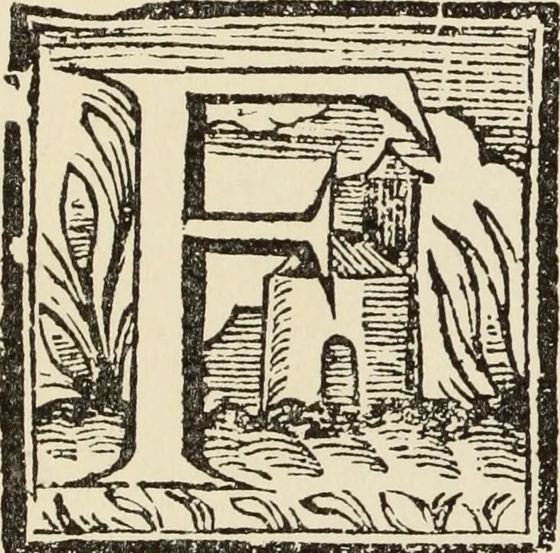 An illustration from El ingenioso hidalgo Don Quixote de la Mancha, 1605, leaf 325
