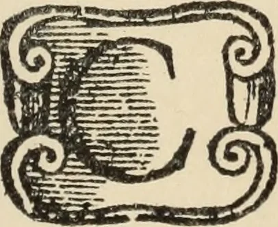 An illustration from El ingenioso hidalgo Don Quixote de la Mancha, 1605, leaf 542