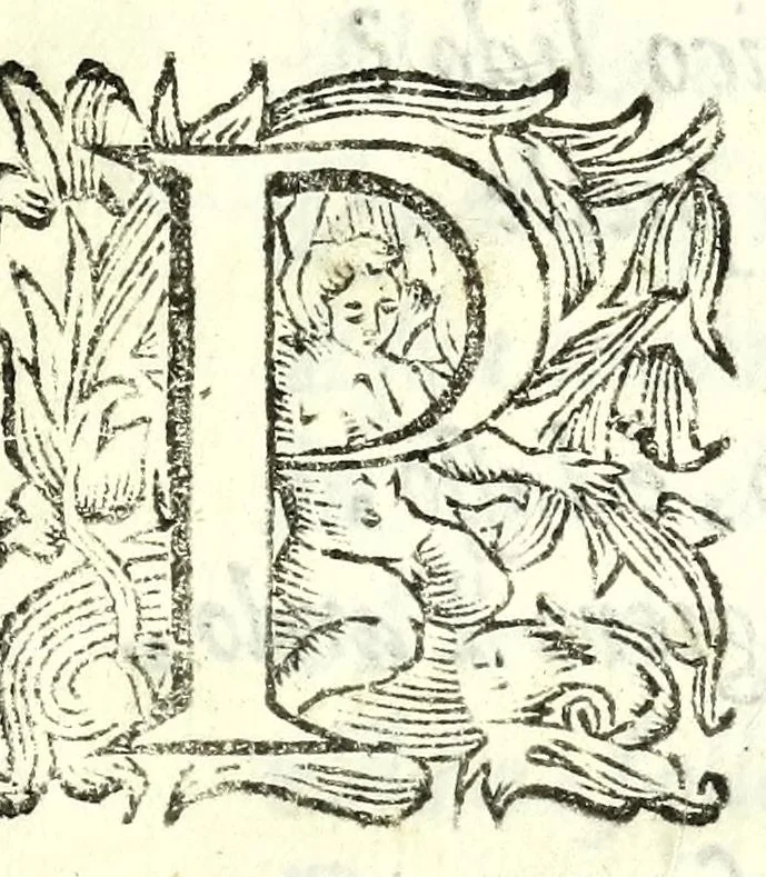 An illustration from Elisa : favola maritima, 1627, leaf 125
