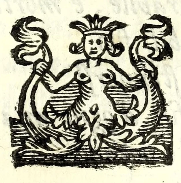 An illustration from Elisa : favola maritima, 1627, leaf 145