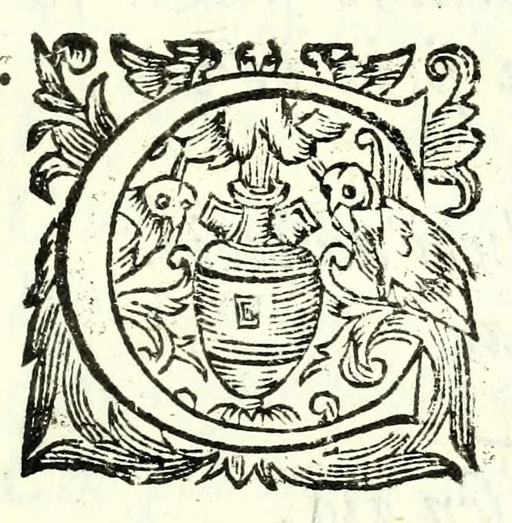 An illustration from Elisa : favola maritima, 1627, leaf 155